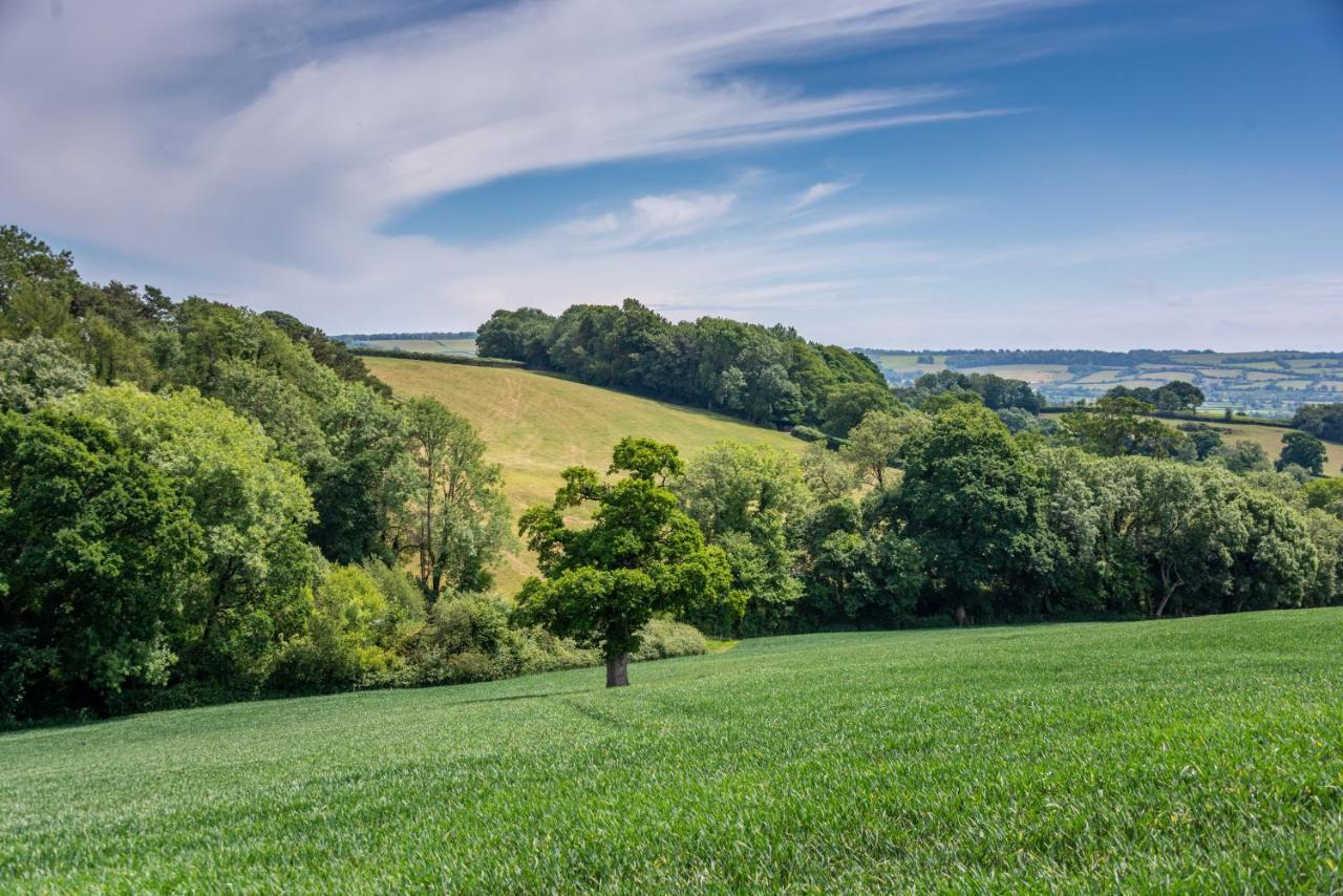 Valley Farm Holiday Cottages Axminster Εξωτερικό φωτογραφία