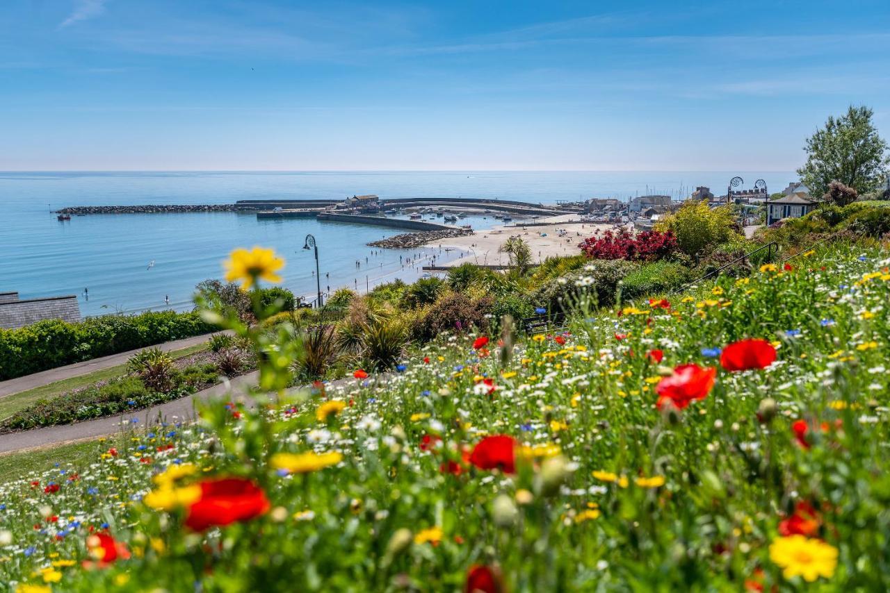Valley Farm Holiday Cottages Axminster Εξωτερικό φωτογραφία